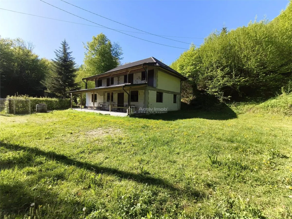 Maison de Vacances à Vendre Valea Avrigului - foto 12