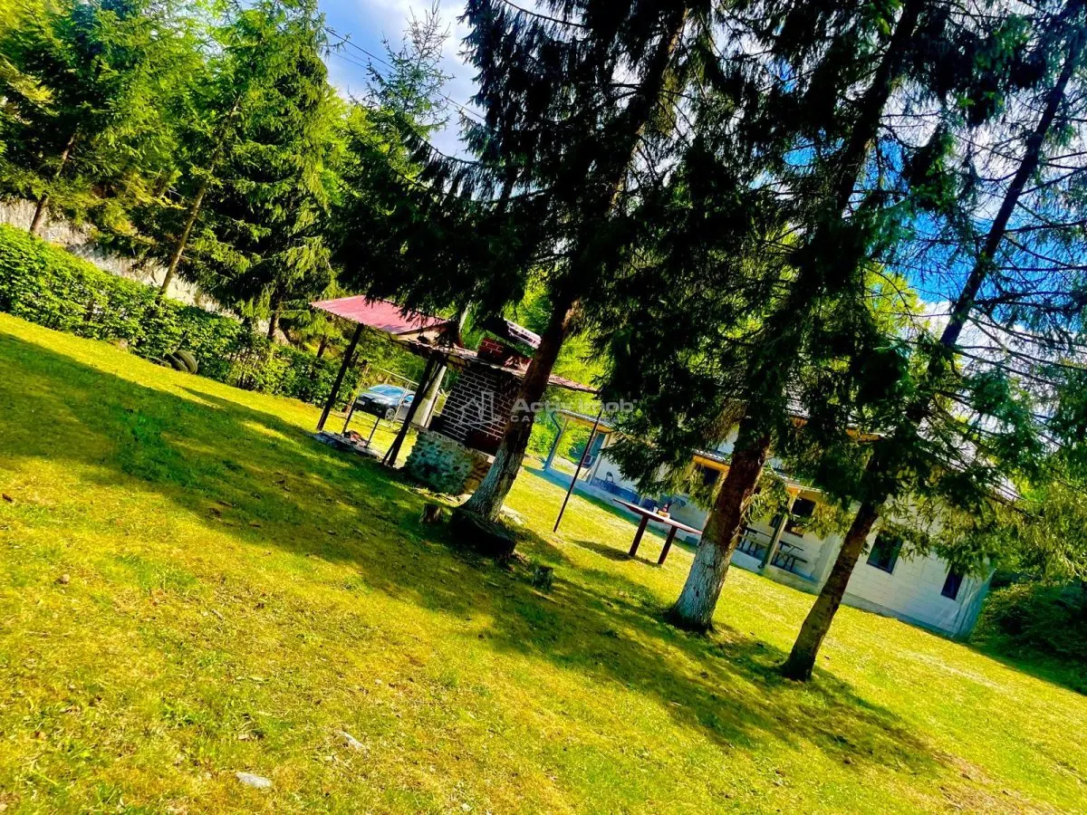 Maison de Vacances à Vendre Valea Avrigului - foto 13