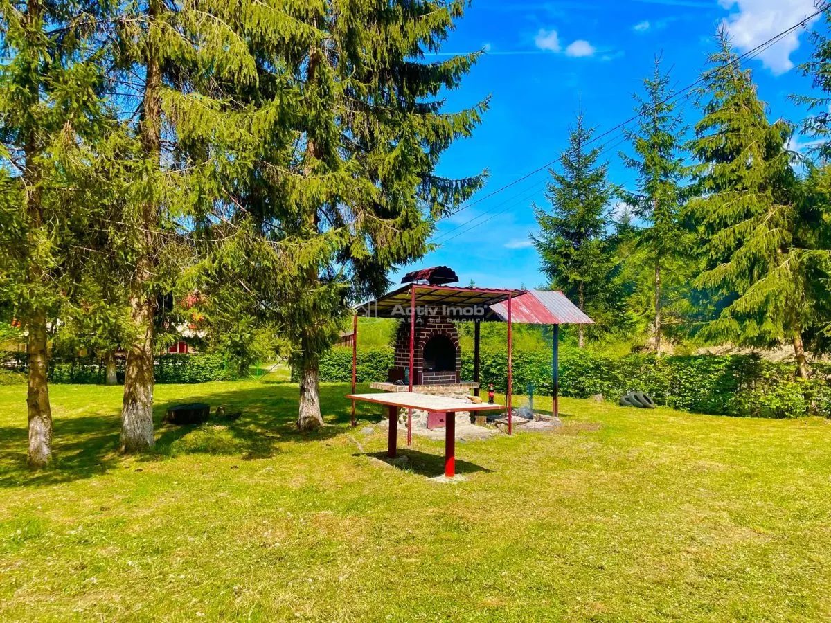 Maison de Vacances à Vendre Valea Avrigului - foto 14