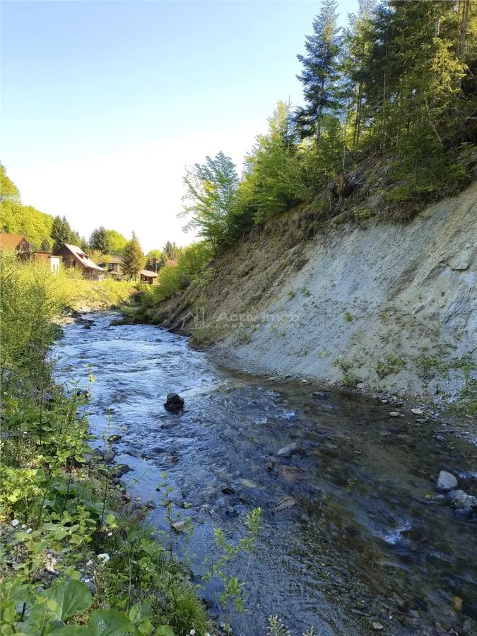 Maison de Vacances à Vendre Valea Avrigului - foto 15