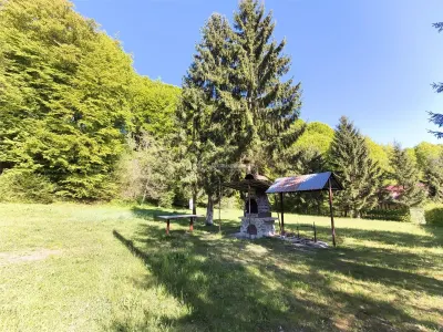 Maison de Vacances à Vendre Valea Avrigului - foto 3
