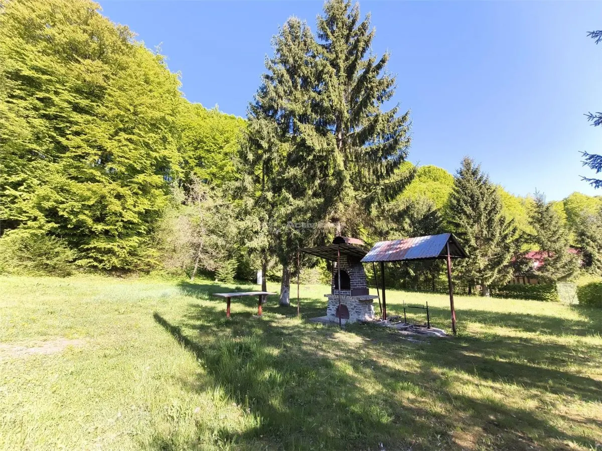 Maison de Vacances à Vendre Valea Avrigului - foto 3