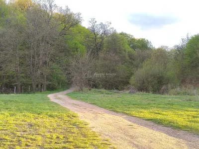 Parcelas de Terreno en Venta Entre Lagos, Talmaciu - foto 4