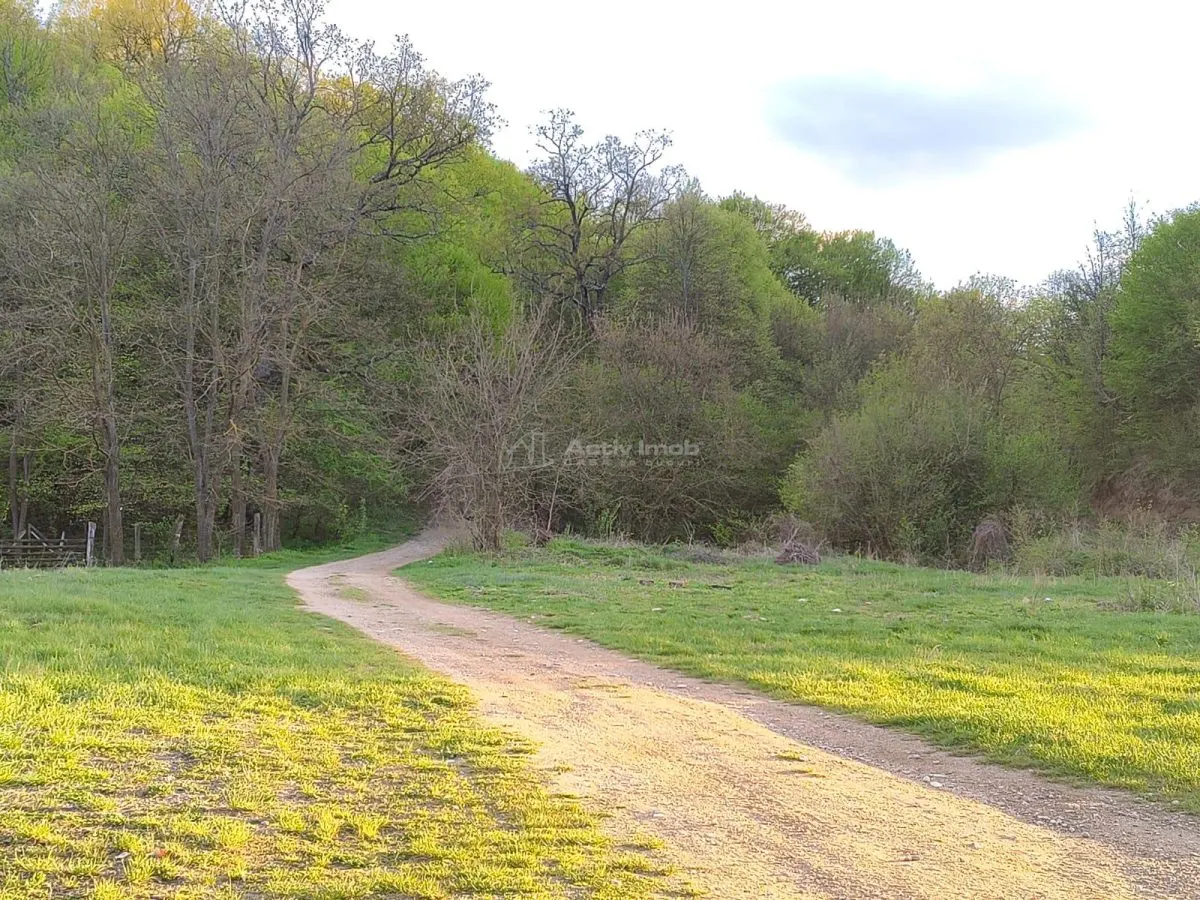 Parcelas de Terreno en Venta Entre Lagos, Talmaciu - foto 4