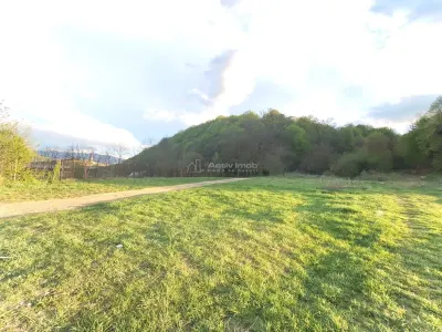 Parcelas de Terreno en Venta Entre Lagos, Talmaciu - foto 8