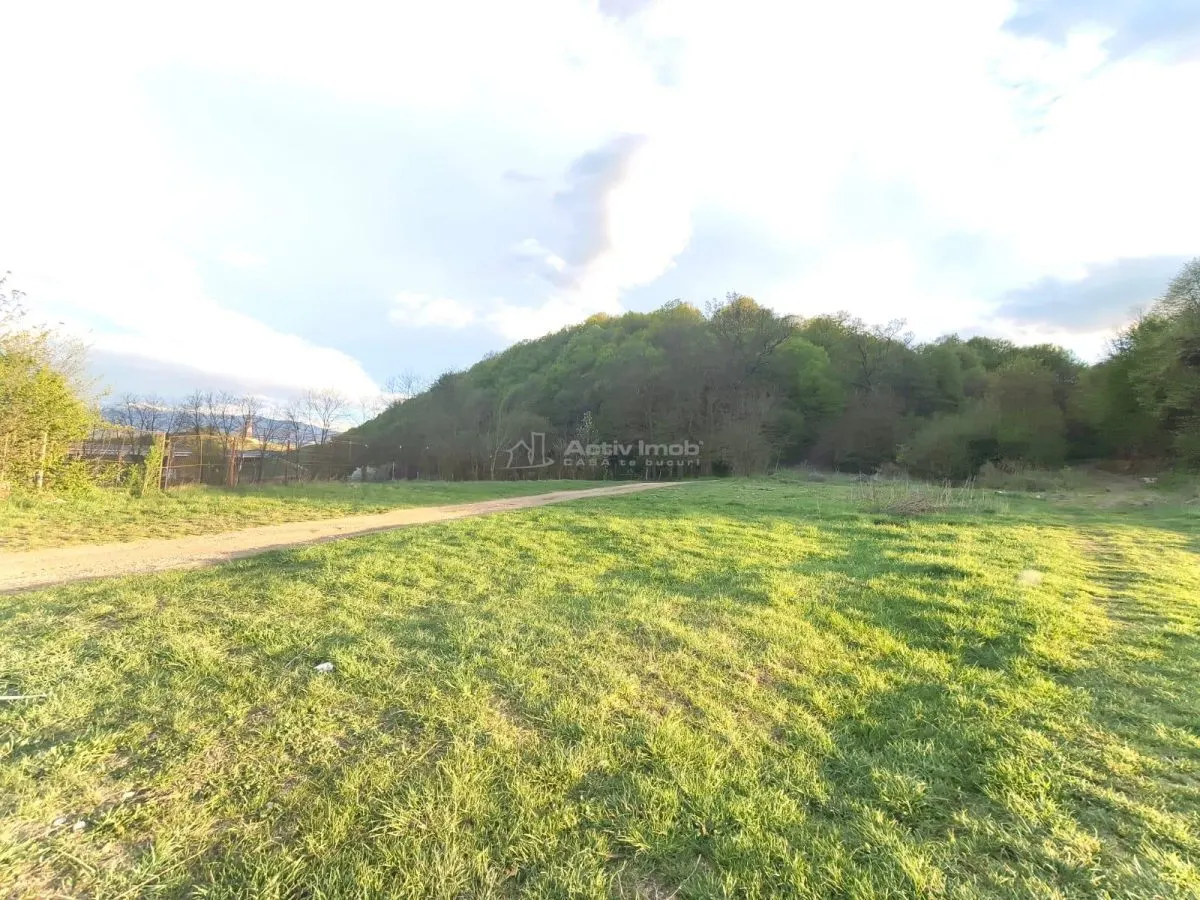 Parcelas de Terreno en Venta Entre Lagos, Talmaciu - foto 8