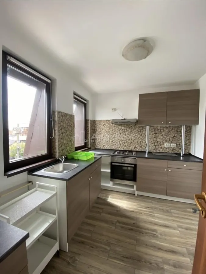 Appartement 3 Chambres Spacieux en Villa, Bucurestii Noi - foto 11