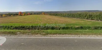 Terrain Aménagé 13.060 m² | Façade 64 m sur DN72A Voinesti - foto 3