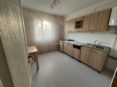 Caransebes, À Louer, Appartement 1 Chambre, Balta Sarata - foto 3