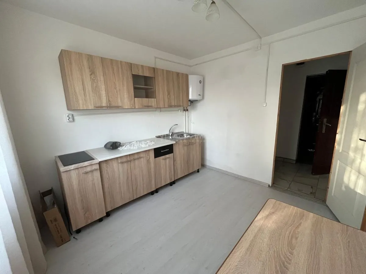 Caransebes, À Louer, Appartement 1 Chambre, Balta Sarata - foto 5