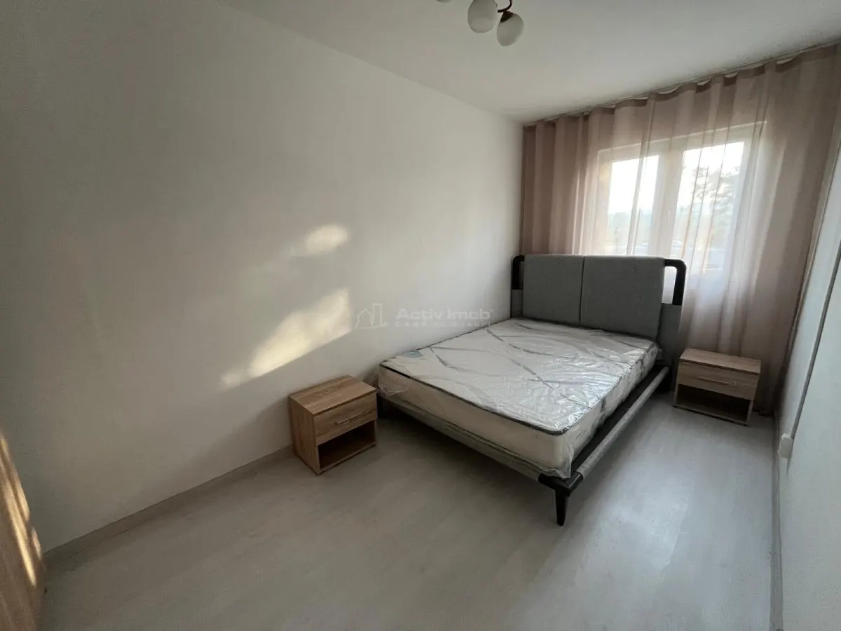 Caransebes, À Louer, Appartement 1 Chambre, Balta Sarata - foto 7