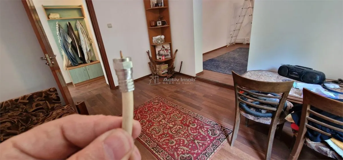 Resita Villa P+1+Buhardilla, Terreno 2100 m², Zona Aislada, Cero Comisión Comprador - foto 18