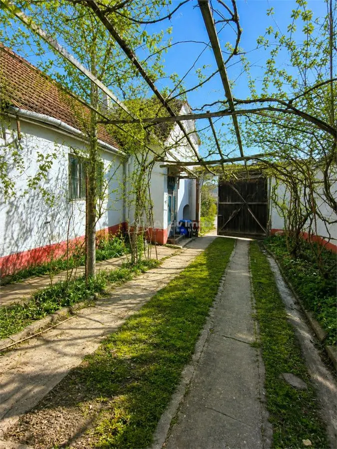 西比乌卢多什宽敞乡村住宅出售 - foto 3