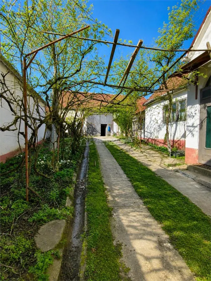 西比乌卢多什宽敞乡村住宅出售 - foto 4
