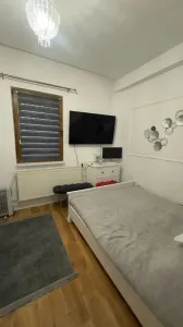 Apartamento Planta Baja en Villa, Calea Calarasilor - foto 4