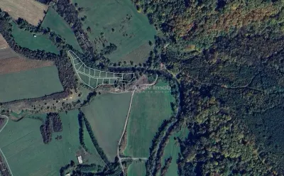 Parcelles avec Accès à la Rivière Cibin à Vendre à Talmaciu - foto 4