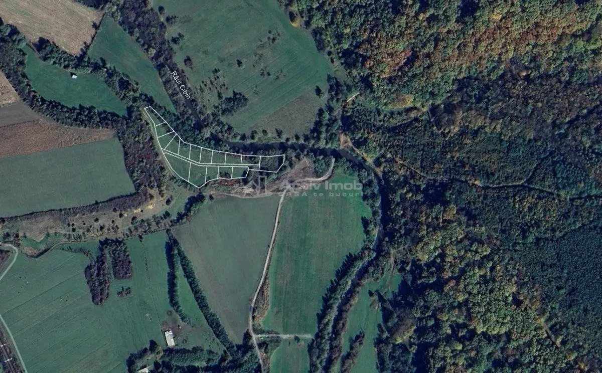 Parcelles avec Accès à la Rivière Cibin à Vendre à Talmaciu - foto 4