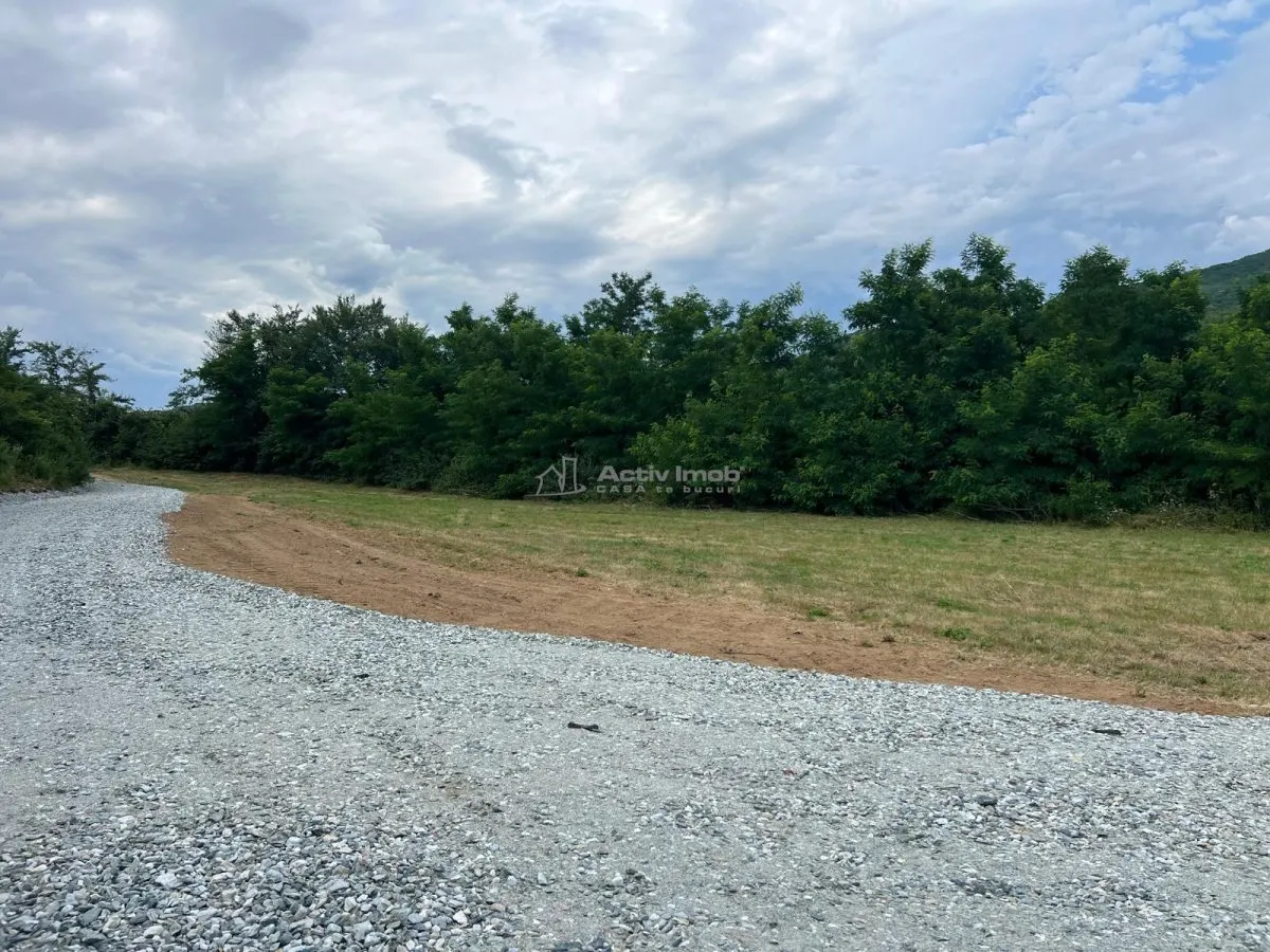 Parcelles avec Accès à la Rivière Cibin à Vendre à Talmaciu - foto 5