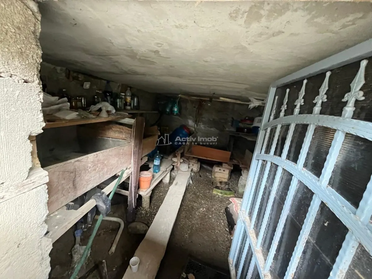 Iaz, Brick House with 822m² Plot – Caras-Severin County - foto 17