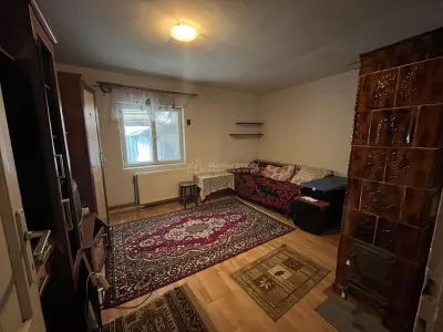Iaz, Brick House with 822m² Plot – Caras-Severin County - foto 6