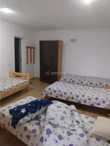 Logement pour Ouvriers - Cristian, Brașov - foto 4