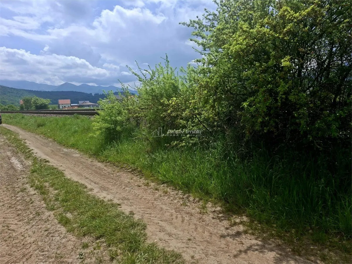 Terreno Rústico en Venta en Talmaciu - foto 4