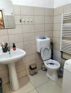 Appartement 1 Chambre, Podgoria - foto 5
