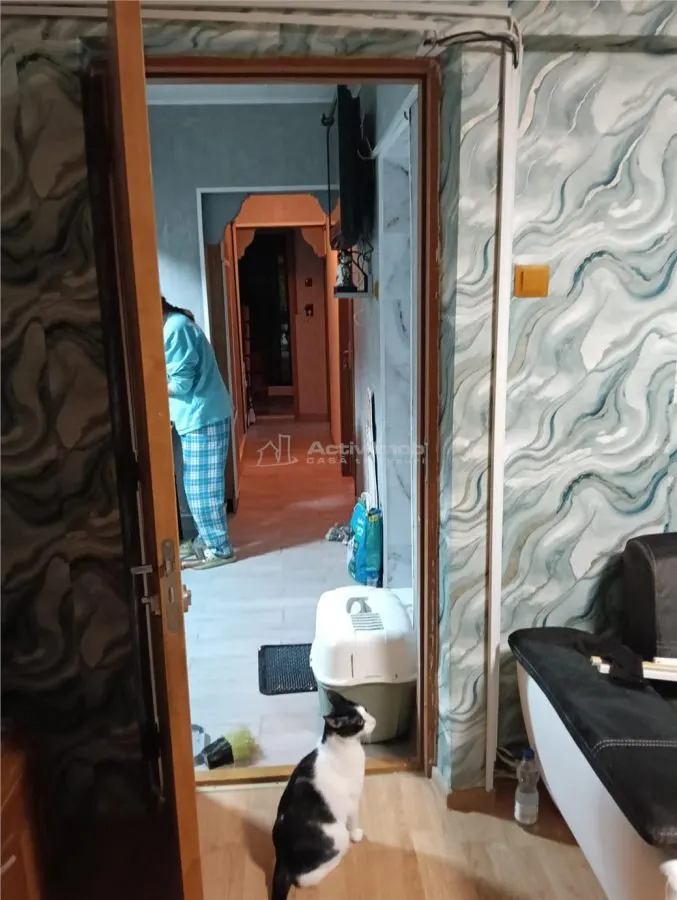 Apartamento de 3 Dormitorios, Edificio Rehabilitado, Teius, Planta Baja, Amueblado - foto 10