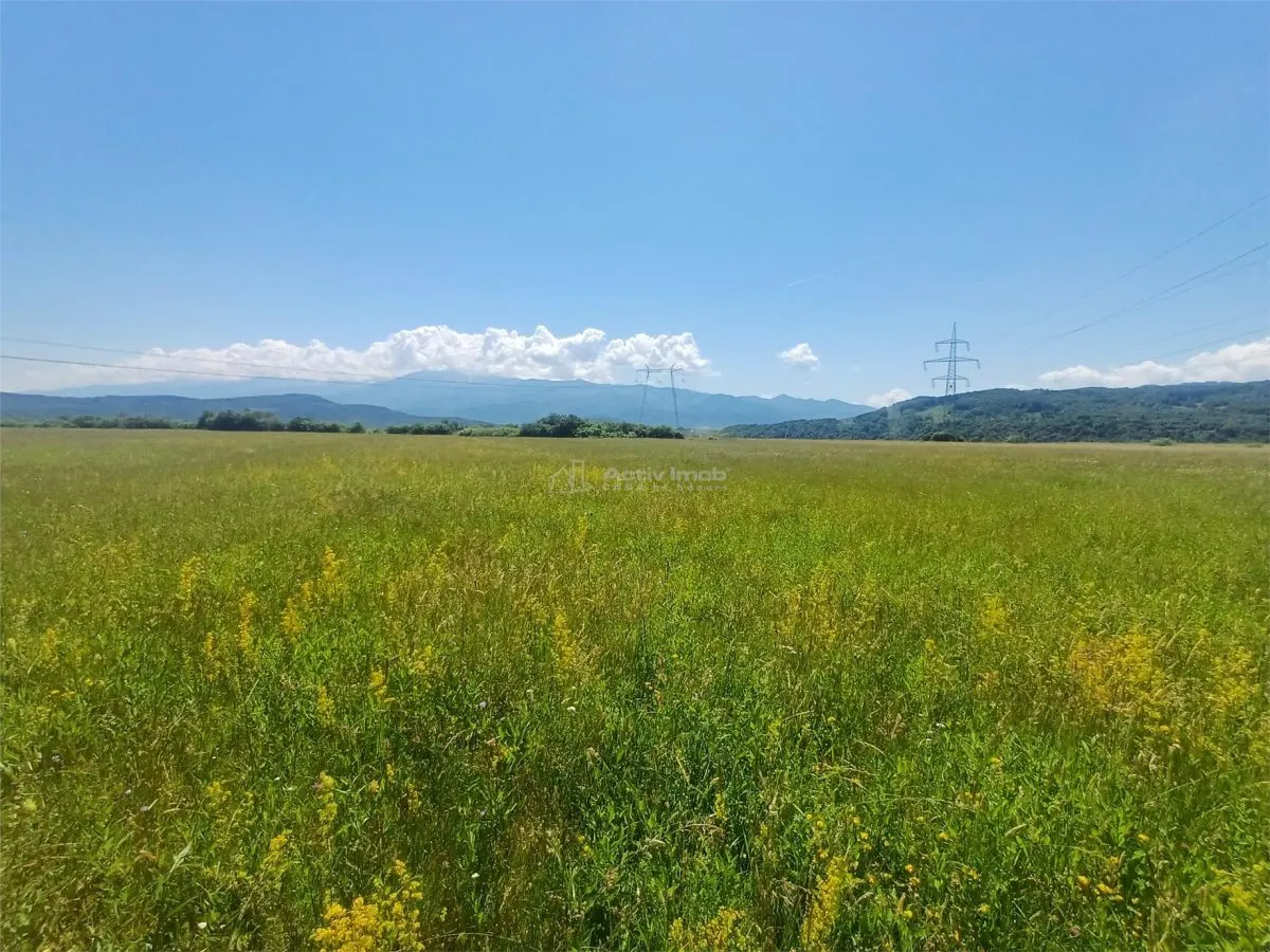 Teren de vanzare pe Drumul Sadului - foto 2