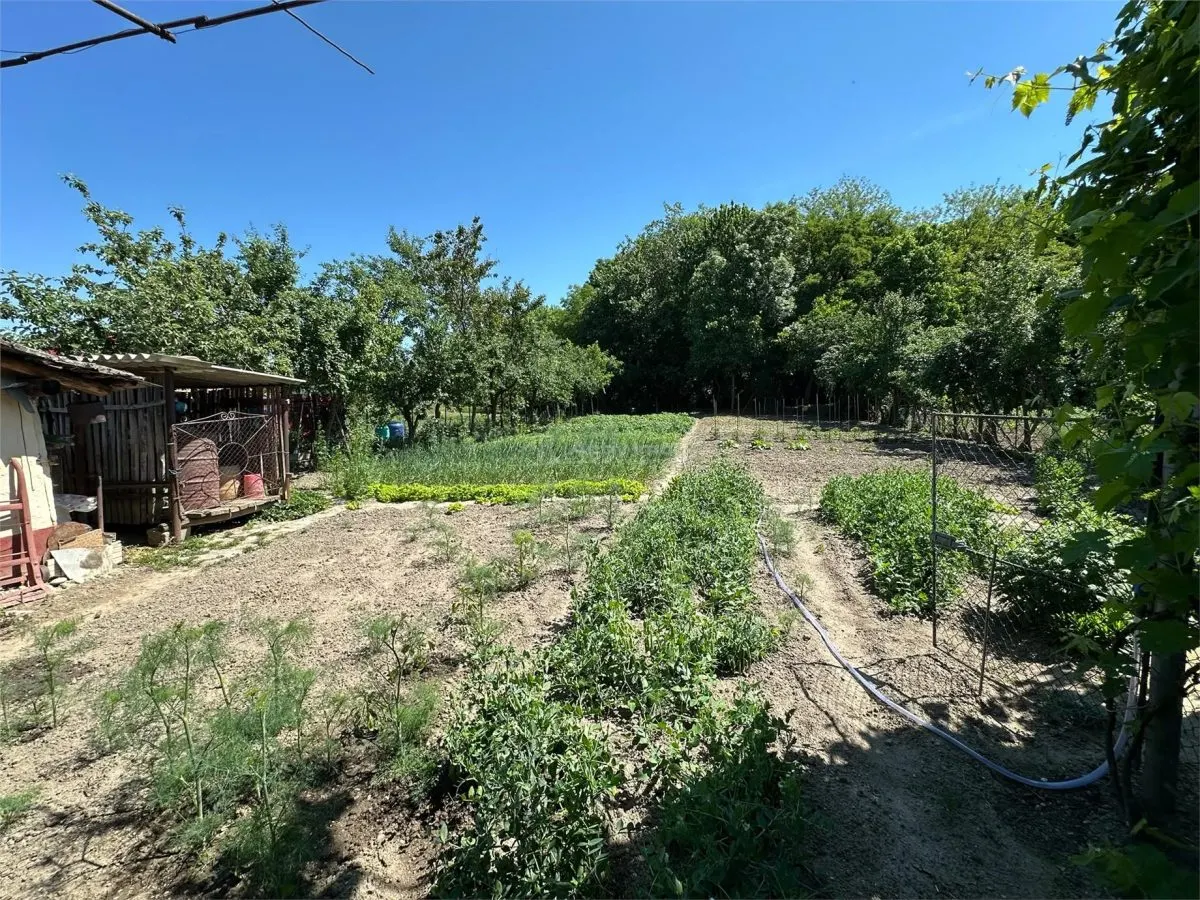 Maison de Charme avec Jardin et Cour, 1500sqm, Birda - foto 22