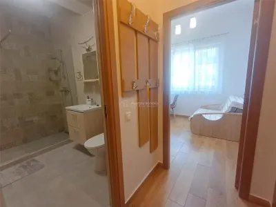 Studio à Louer, Doamna Stanca, Sibiu - foto 11