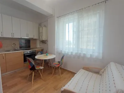 Studio à Louer, Doamna Stanca, Sibiu - foto 7