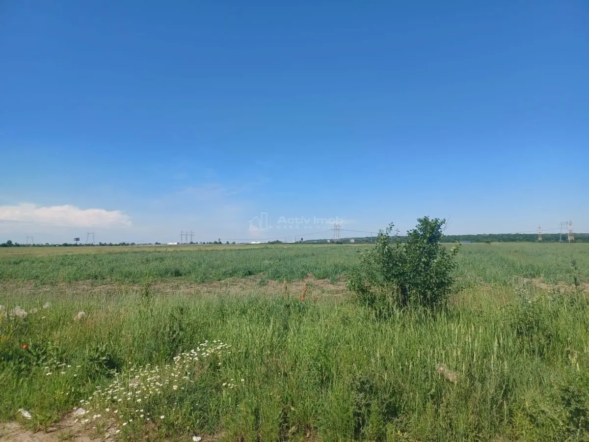 teren intravilan, 12000 mp, Ciorogarla, jud. Ilfov - foto 1