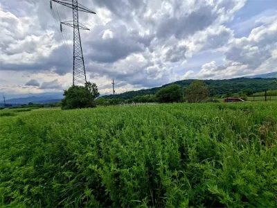 Terreno en Venta en Talmaciu - foto 4