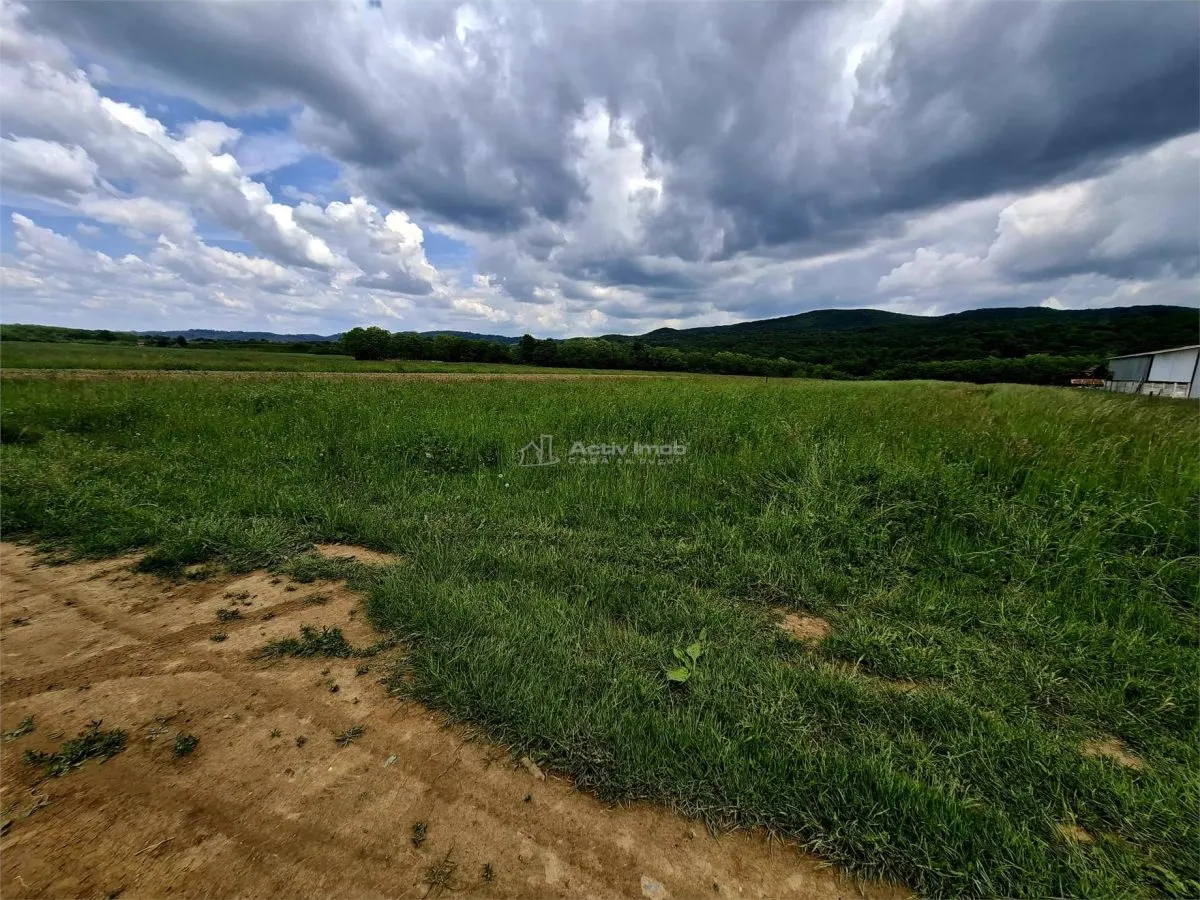 Terreno Rústico en Venta en Talmaciu – 500 m² - foto 4