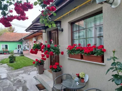 Characterful Urban Retreat – Mansard House with Fitted Cellar, Central Oradea - foto 2
