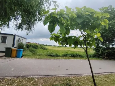 Terrain à Vendre, 300 m² près du Complexe de Natation - foto 2