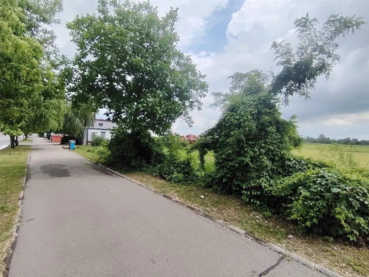 Terrain à Vendre, 300 m² près du Complexe de Natation - foto 4