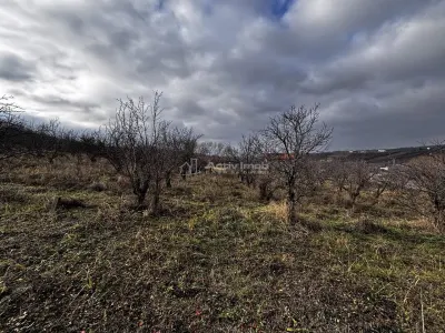 Terrain à Bâtir Rue Livezilor, Oradea - foto 12