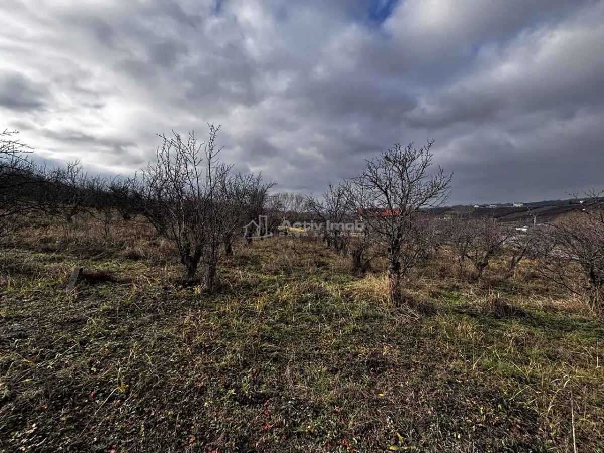 Terrain à Bâtir Rue Livezilor, Oradea - foto 12