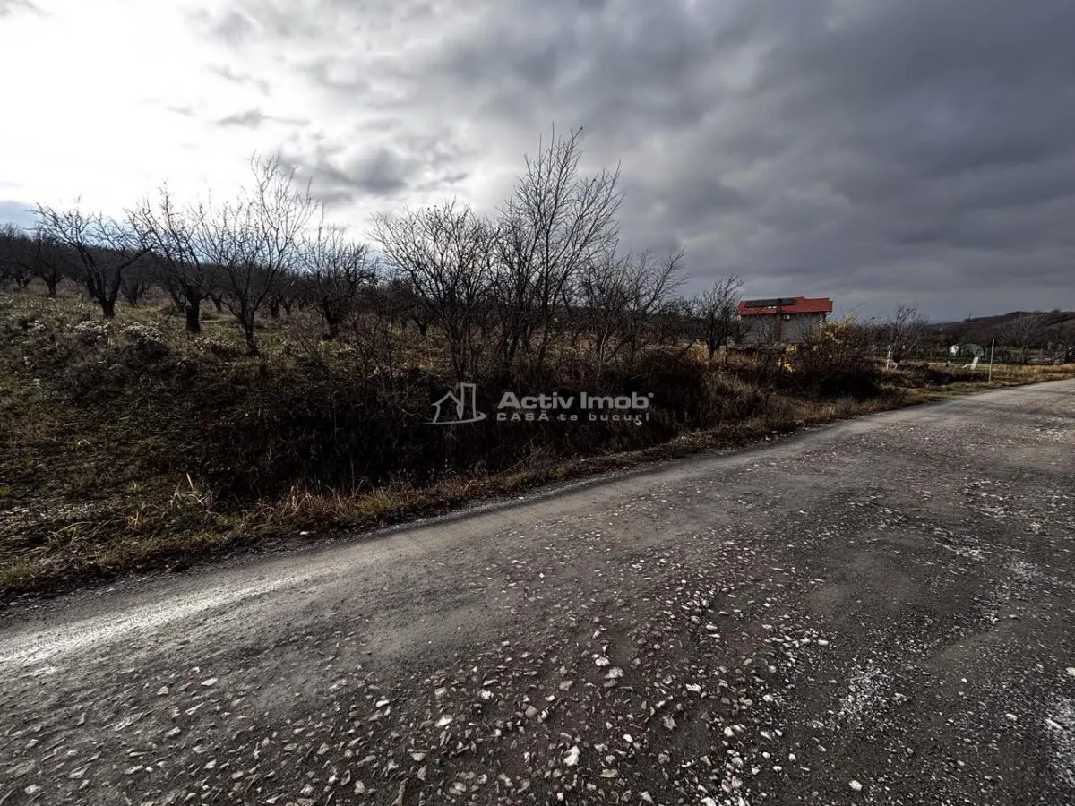 Terrain à Bâtir Rue Livezilor, Oradea - foto 13