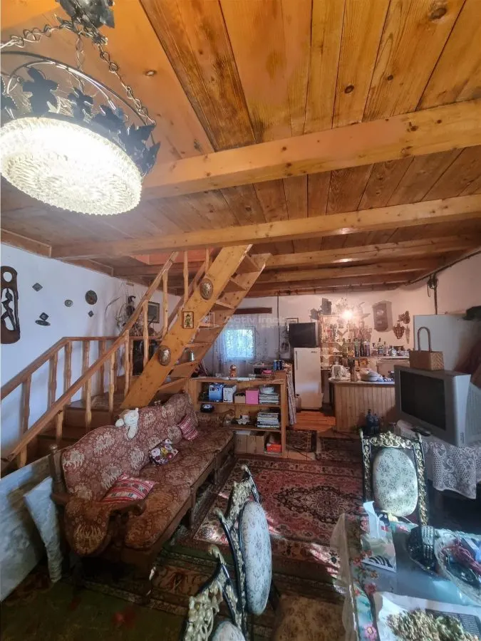 伊兹沃鲁尔·雷切度假屋，亚历山大港 - 溪流旁 - foto 1