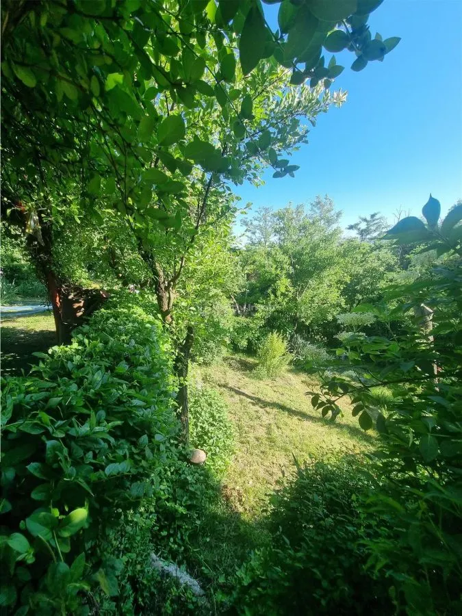 伊兹沃鲁尔·雷切度假屋，亚历山大港 - 溪流旁 - foto 3