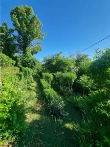 伊兹沃鲁尔·雷切度假屋，亚历山大港 - 溪流旁 - foto 9
