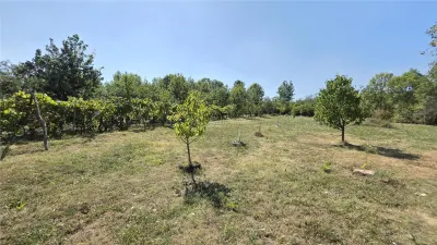 Petrilova | Propriété de 4.400 m² | 9 Pièces | Zéro Commission - foto 3