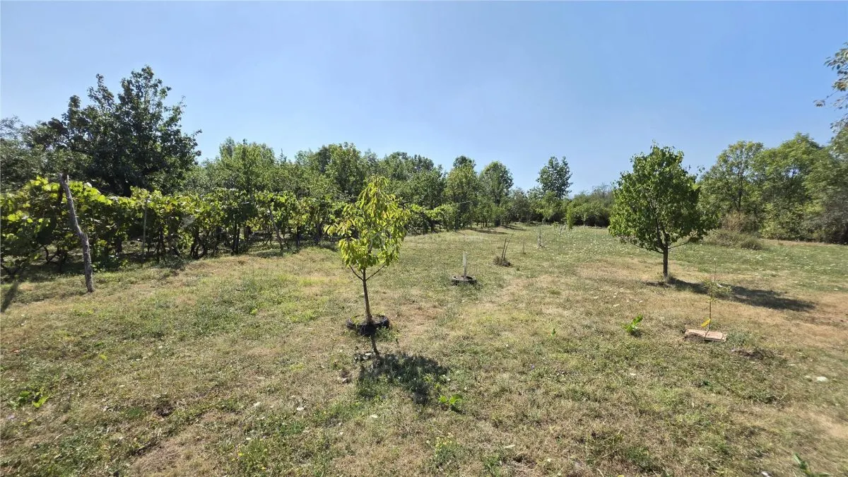 Petrilova | Propriété de 4.400 m² | 9 Pièces | Zéro Commission - foto 3
