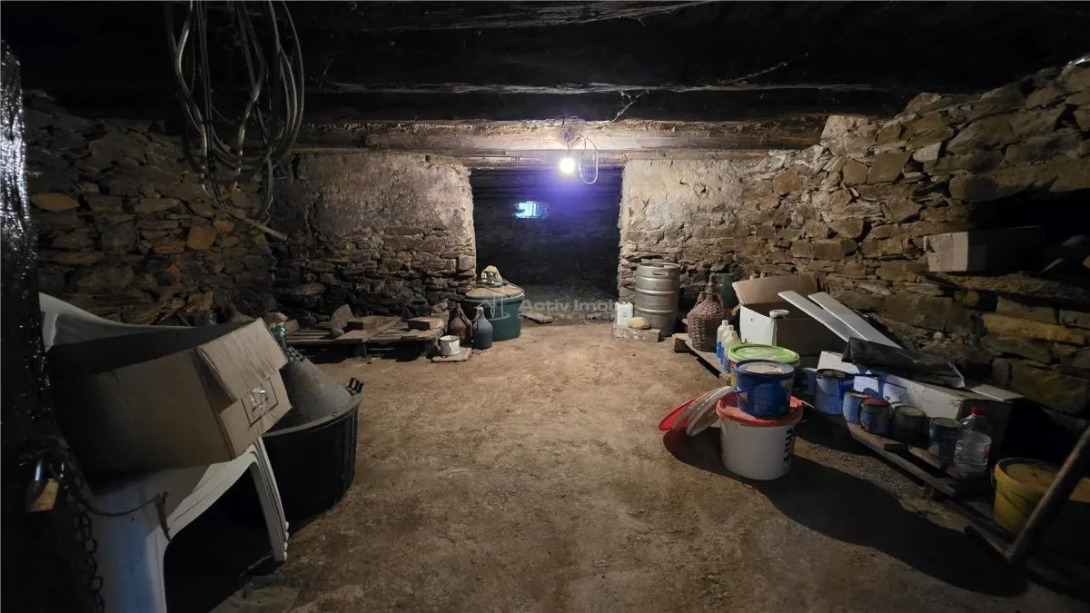 Petrilova | Propriété de 4.400 m² | 9 Pièces | Zéro Commission - foto 23