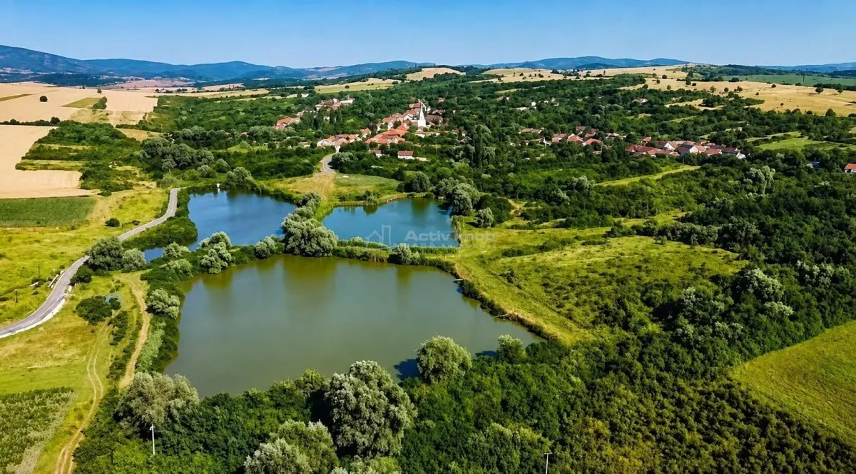 Petrilova | Propriété de 4.400 m² | 9 Pièces | Zéro Commission - foto 4