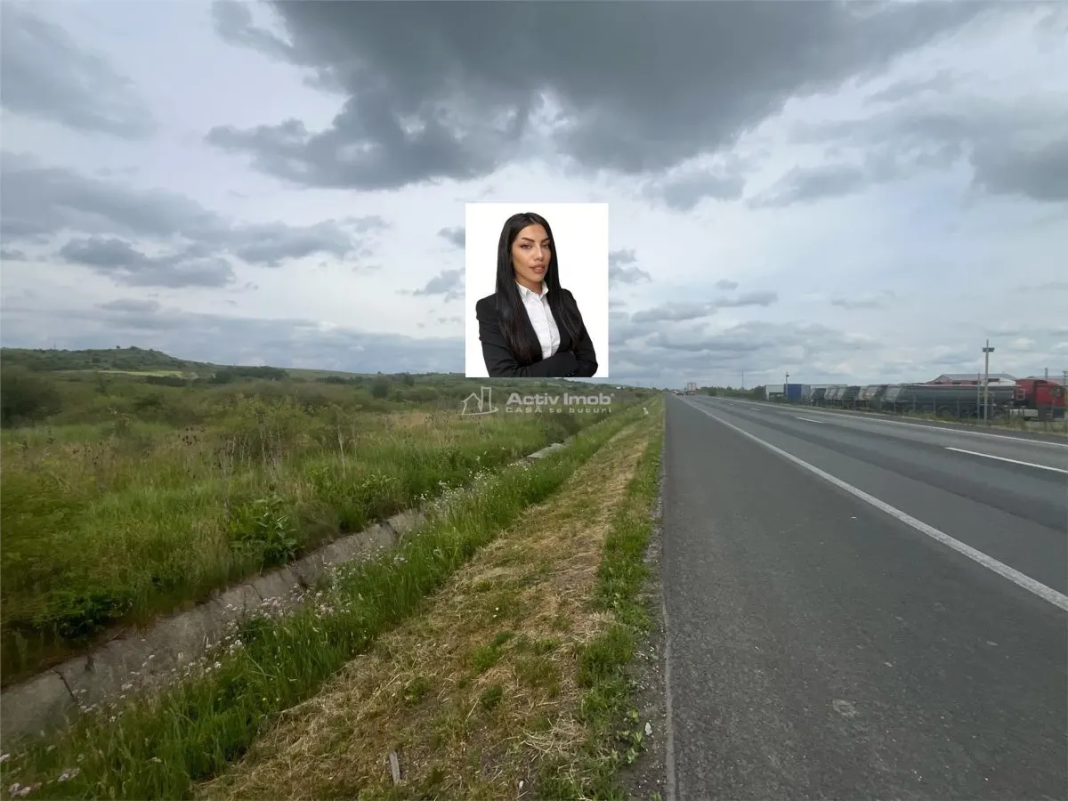 Lugoj, Terrain 16.800 m² avec 80m de Façade sur Route de Contournement - foto 1