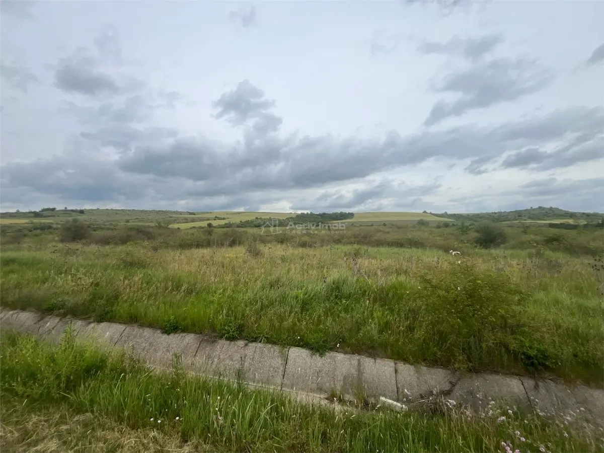 Lugoj, Terrain 16.800 m² avec 80m de Façade sur Route de Contournement - foto 11